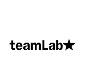 TeamLab